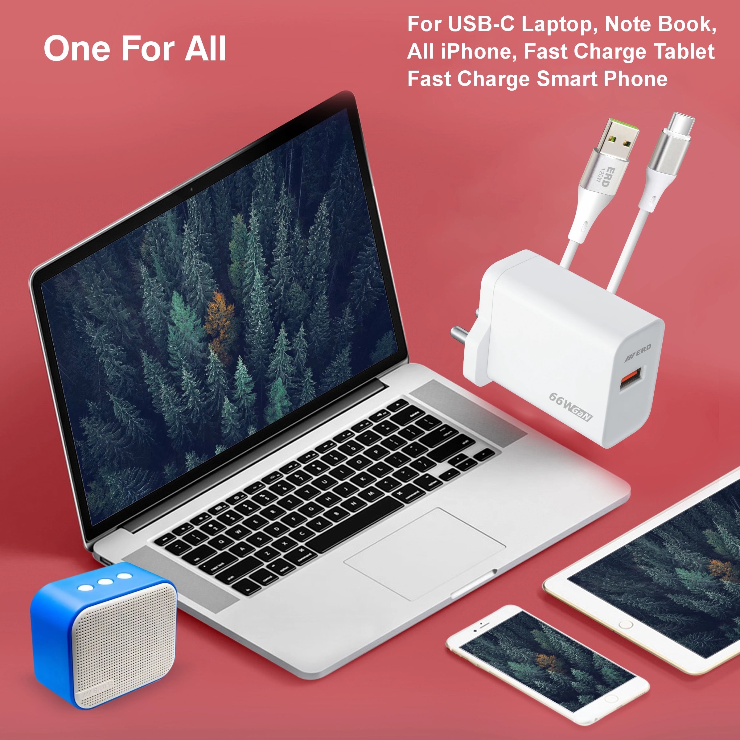 ERD TC-163 CHARGER  USB-C WHITE 66W